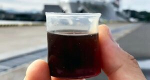 Для одноразового пластику знайшли водонепроникну заміну на рослинній основі